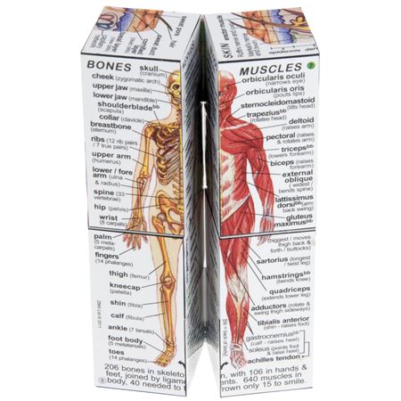 Picture of Zoobookoo Cube Book - Human Body