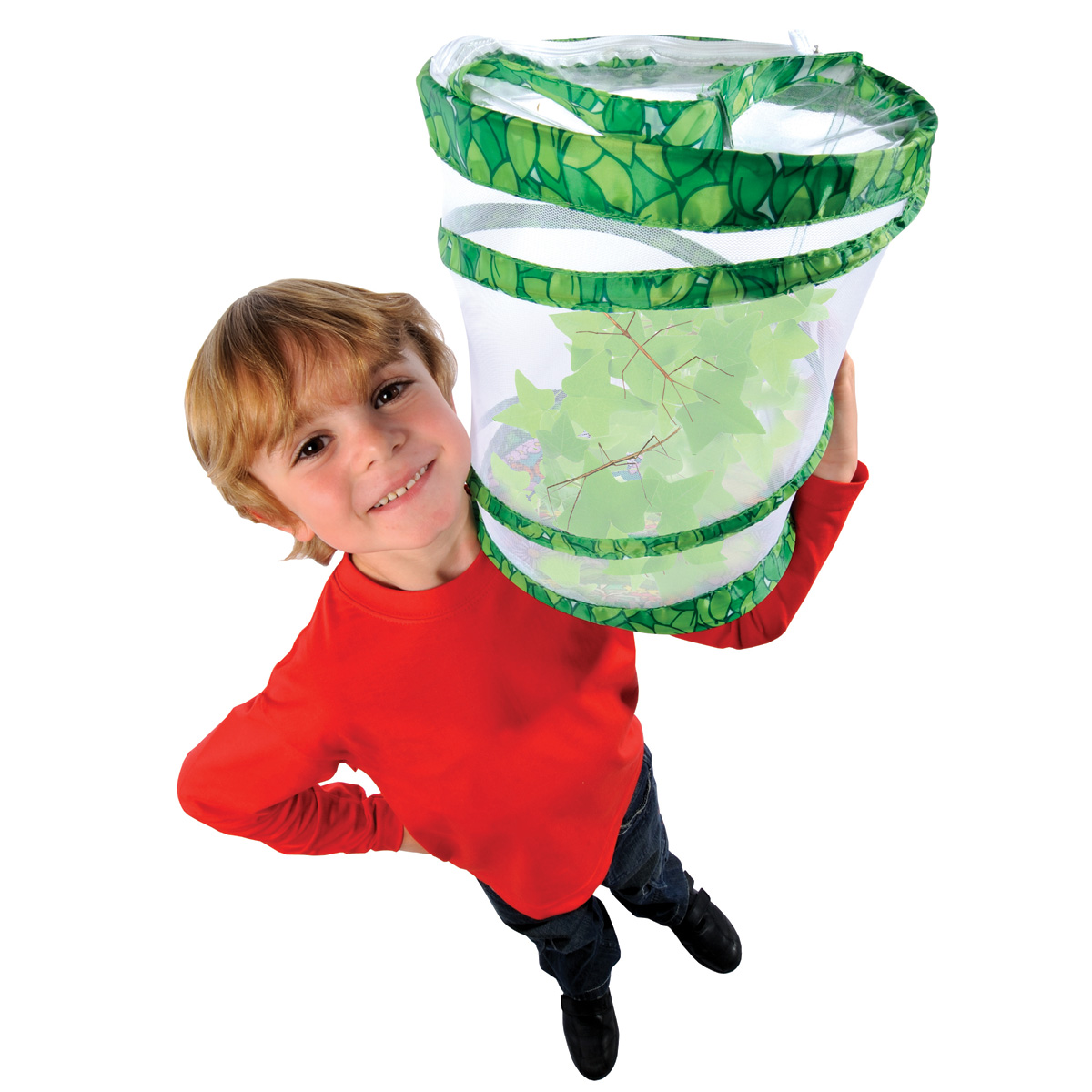 Stick Insect Kit Exploring Nature Mulberry Bush