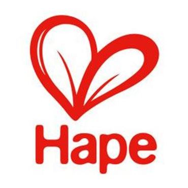 Picture for brand Hape Toys
