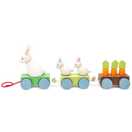 Picture of Bunny Train