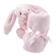 Picture of Bashful Pink Bunny Soother