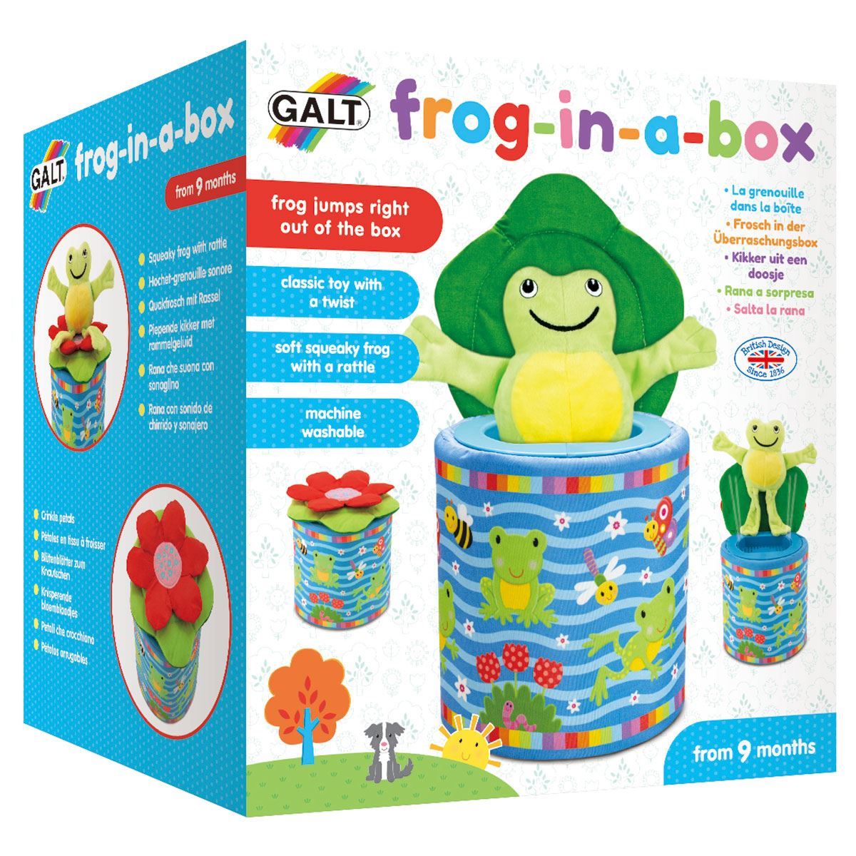 Frog In A Box