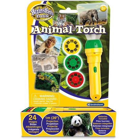 Childrens Torches | Fun Torches for Kids | Mulberry Bush